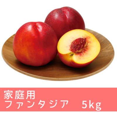 53 早生ワッサー家庭用5キロ 09875543937409709367338cb31ea4